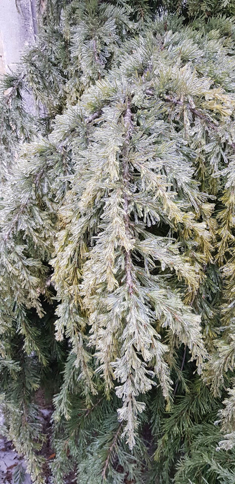 Winter in Romania