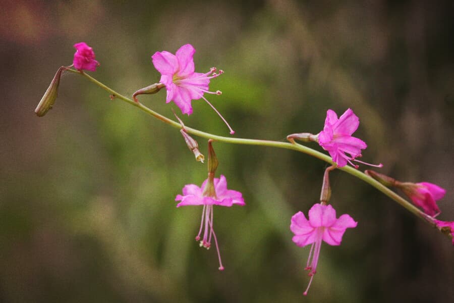 clicked by me