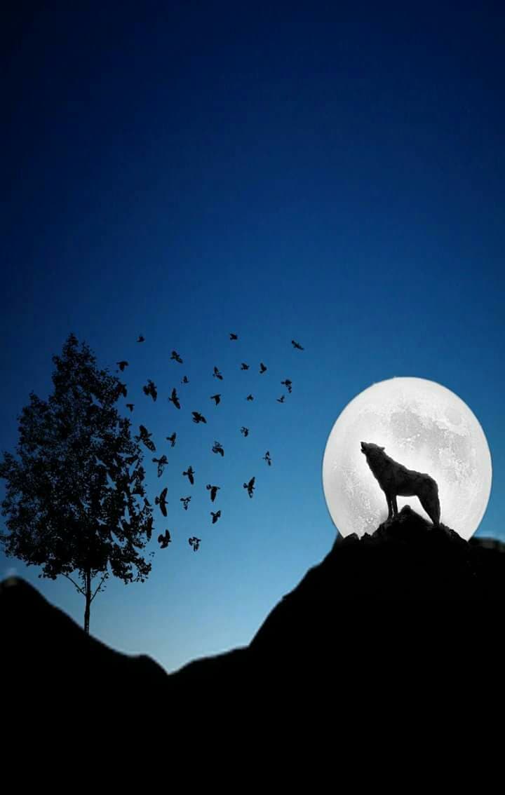 tree and moon