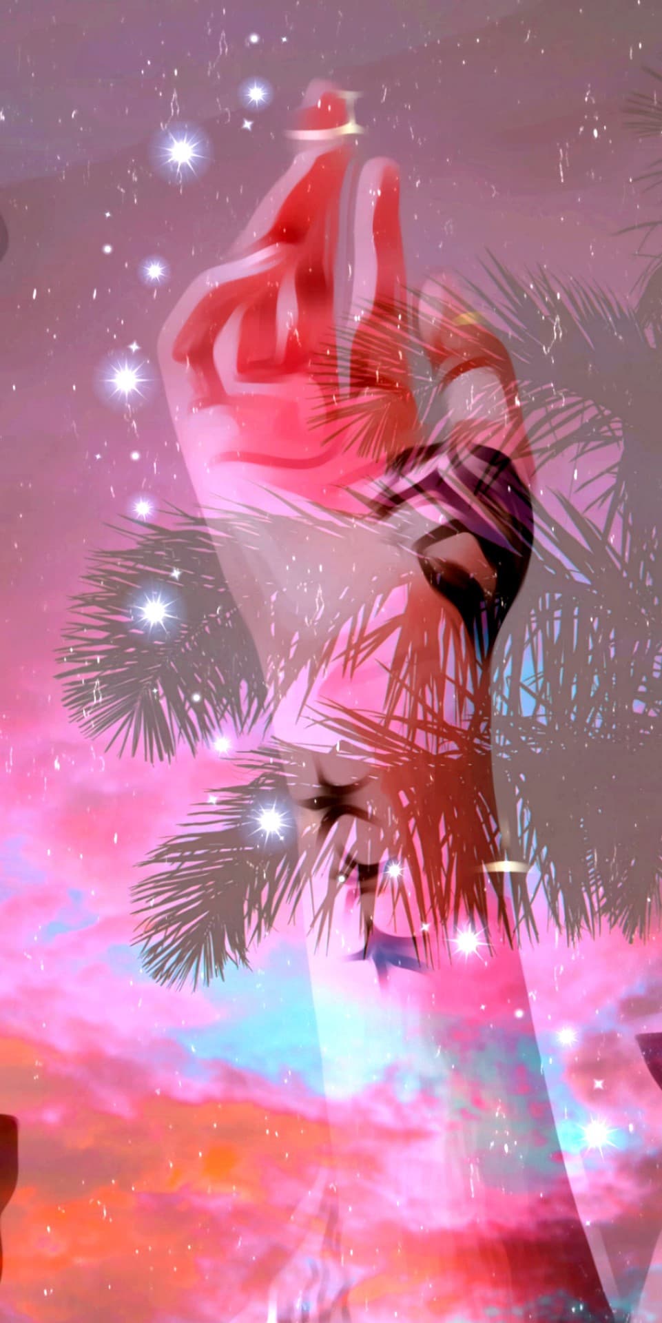 ✨