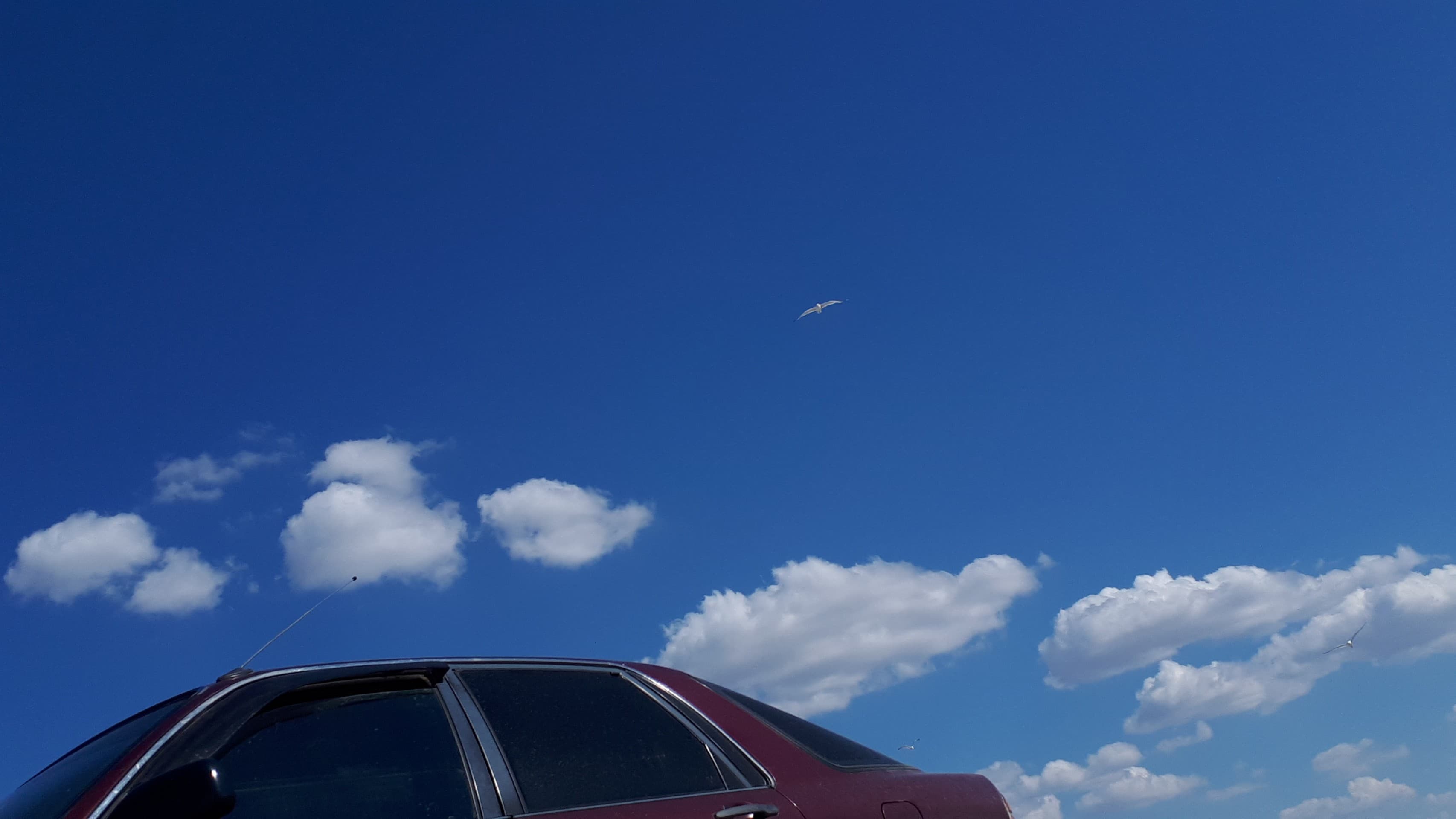 Mitsubishi?