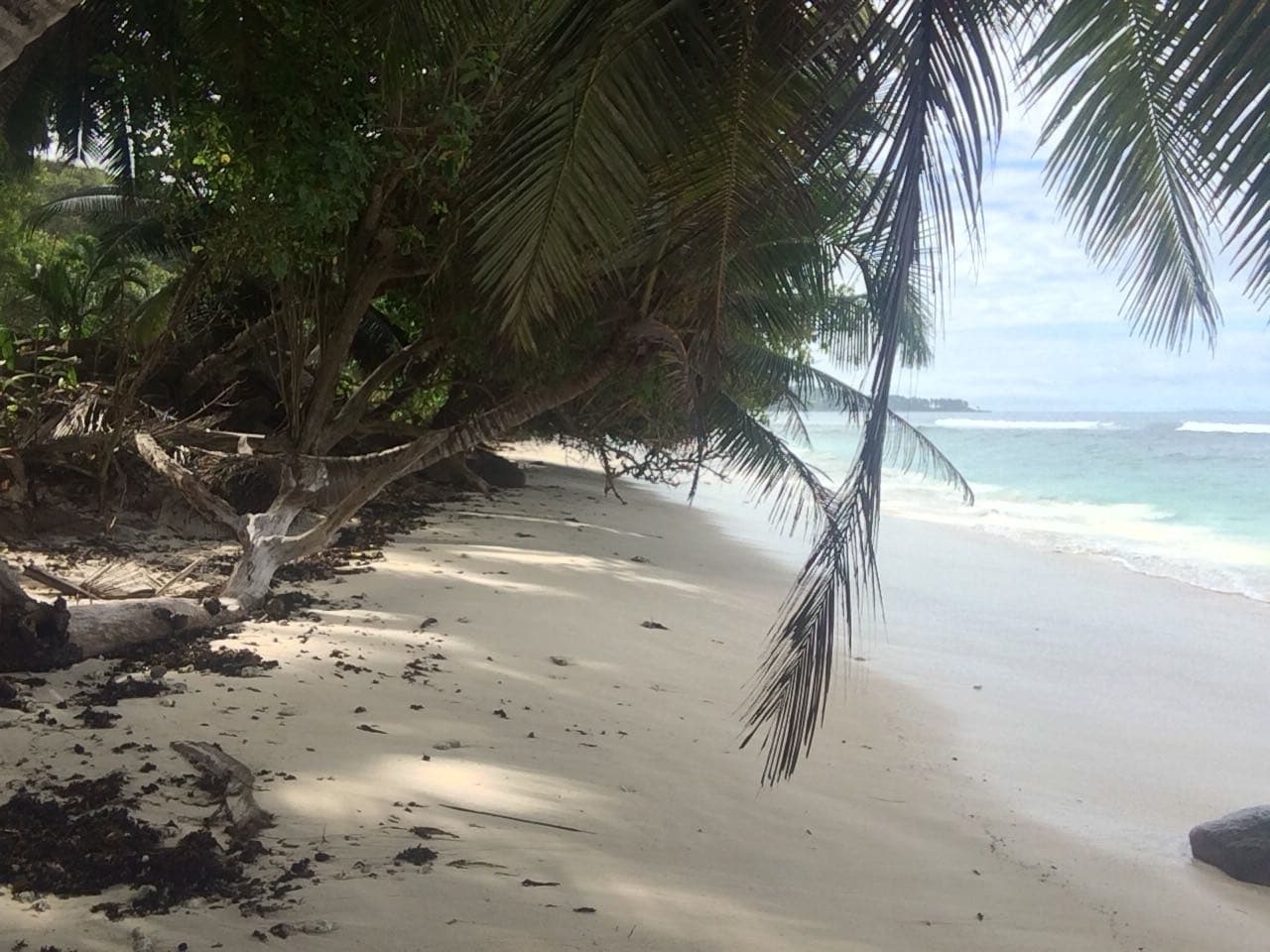 the beach