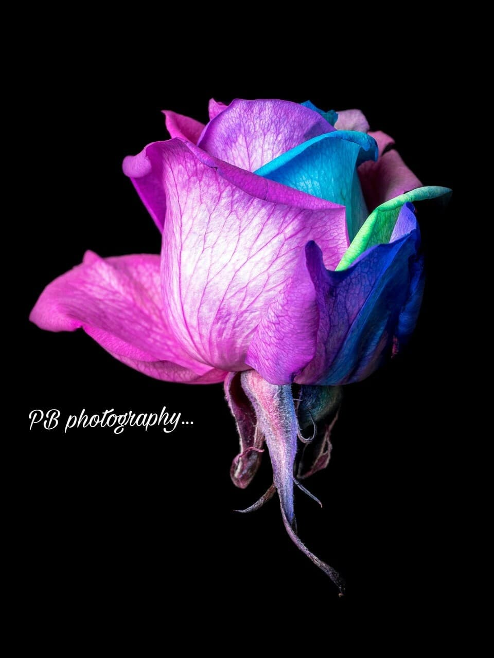 PB Photography