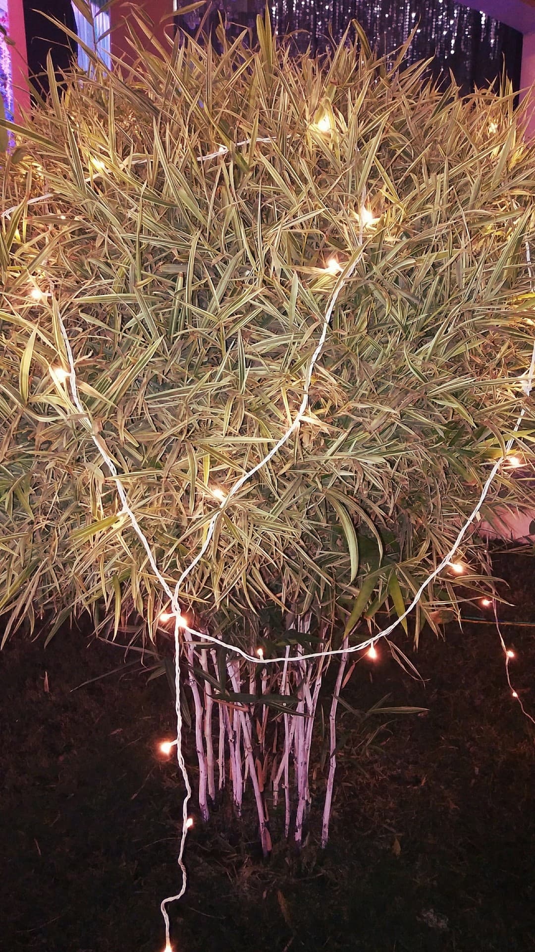 decorative tree