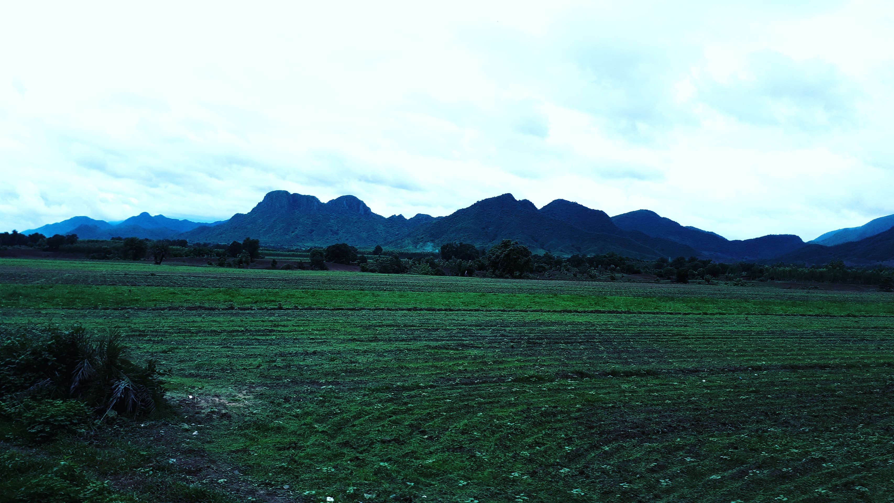 happy farm