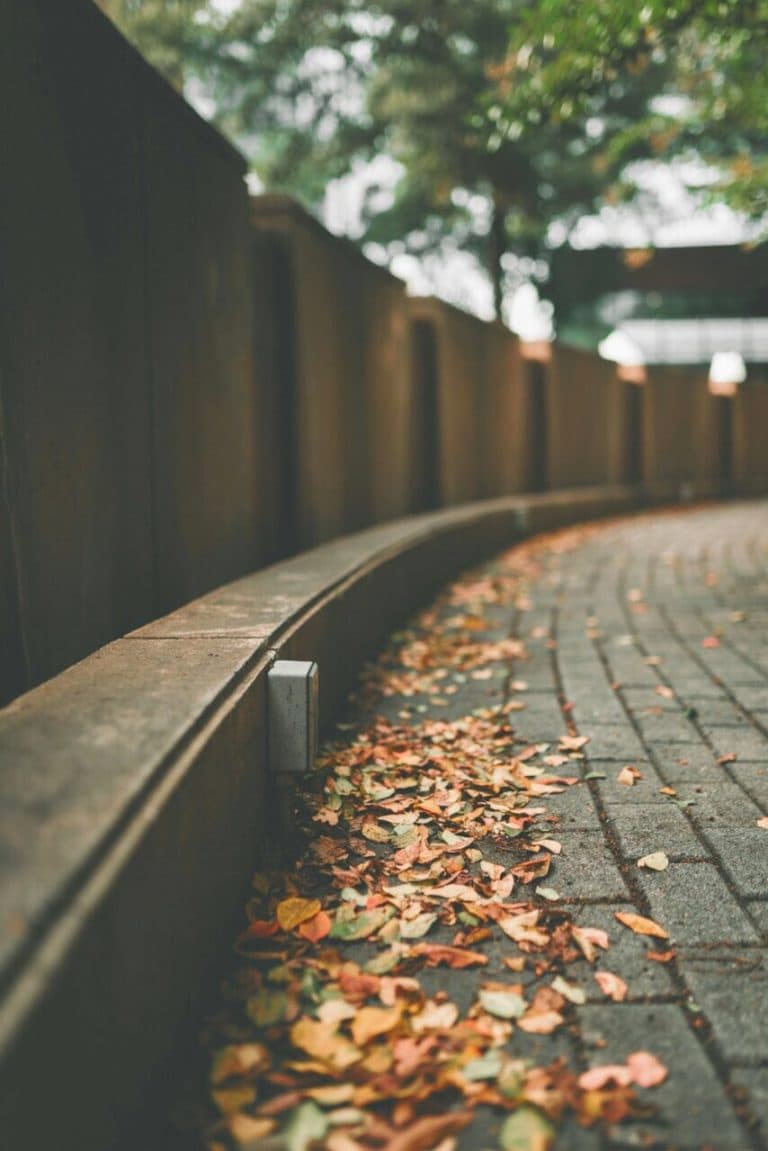 fall