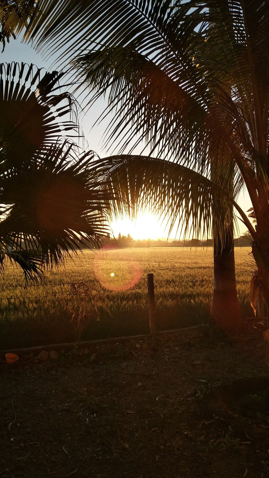 sunrise