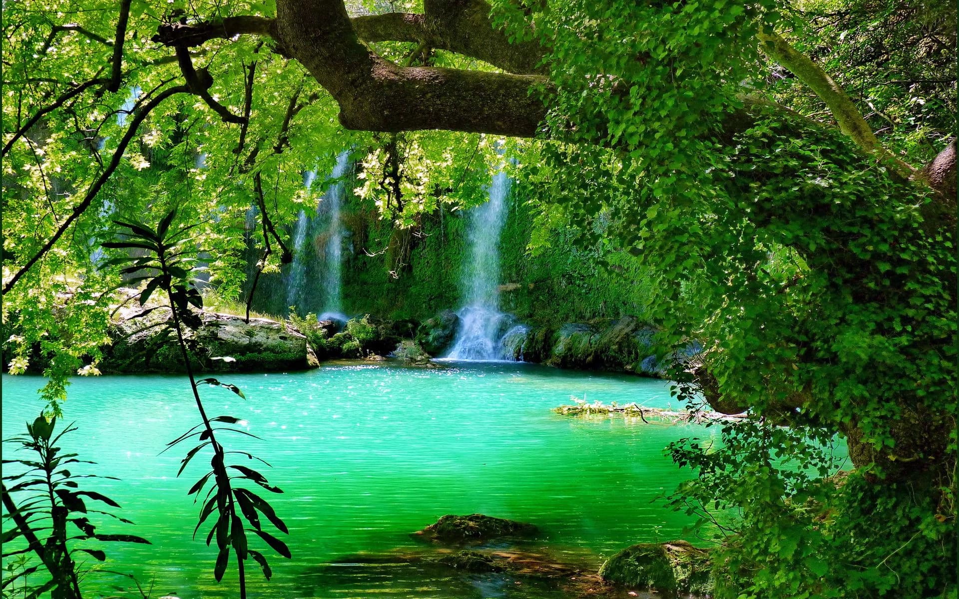 natural image