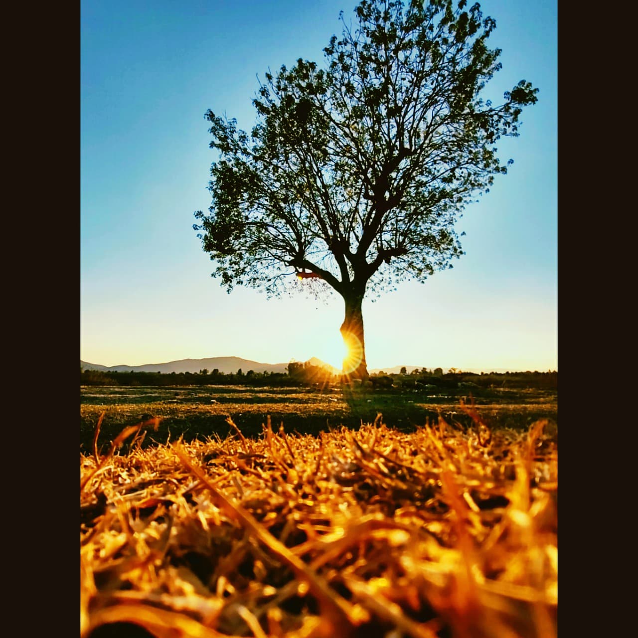 Moments