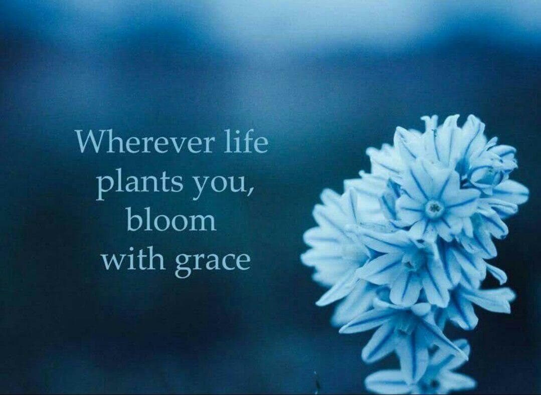 quotes good thoughts