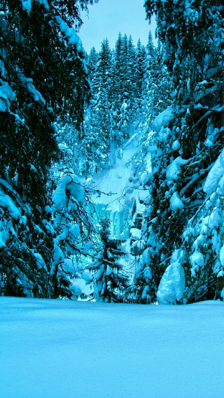sybarian winter