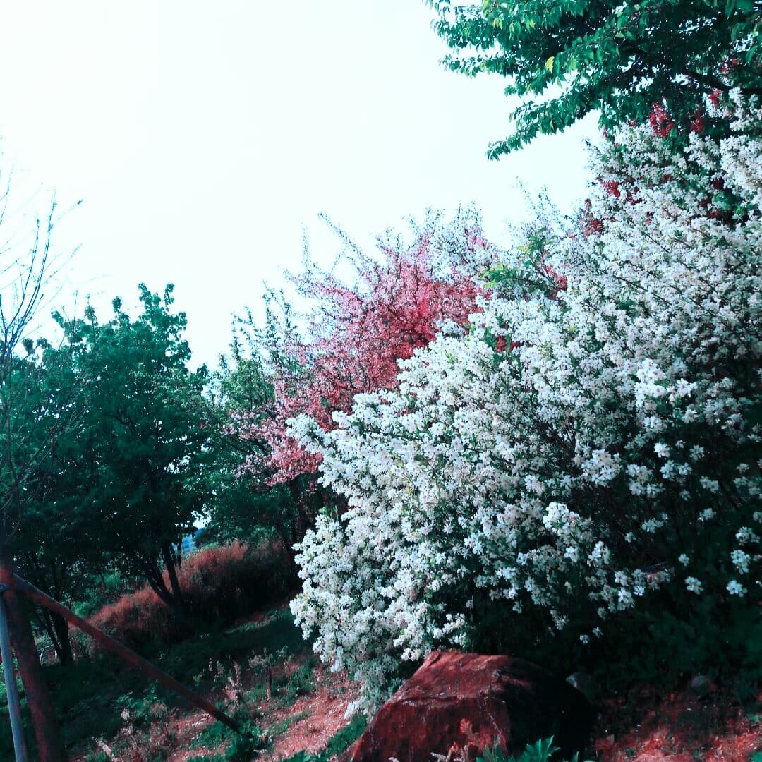 ㆍ