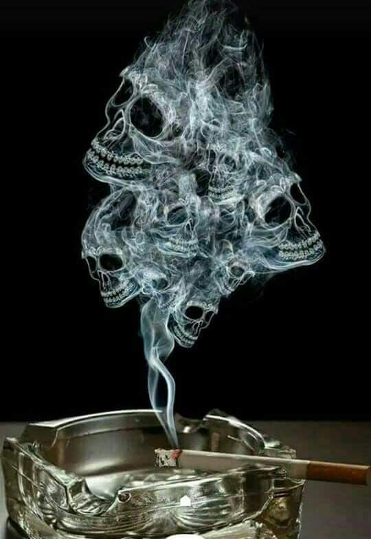 no smoking