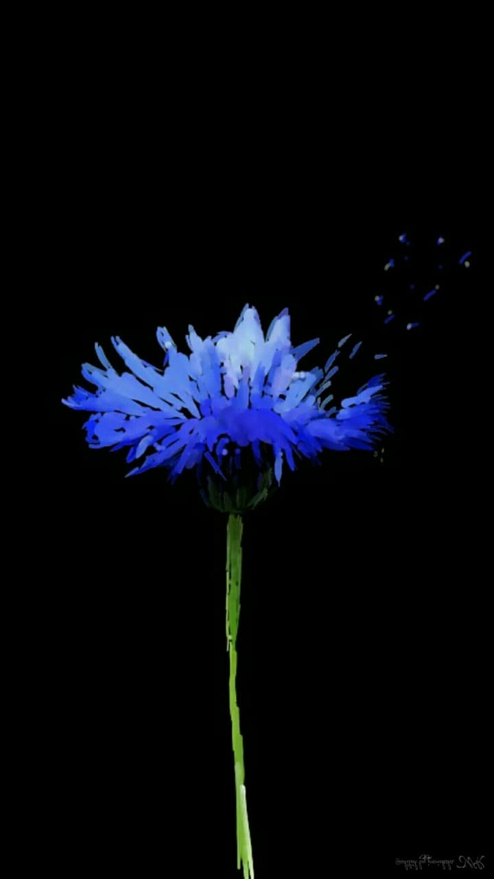 bleu