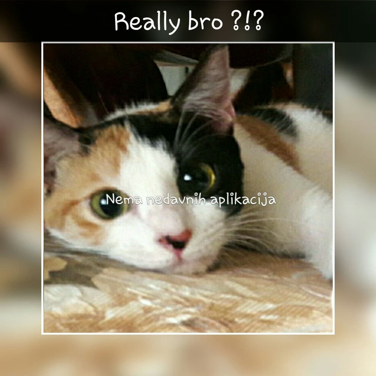 Really bro!?!