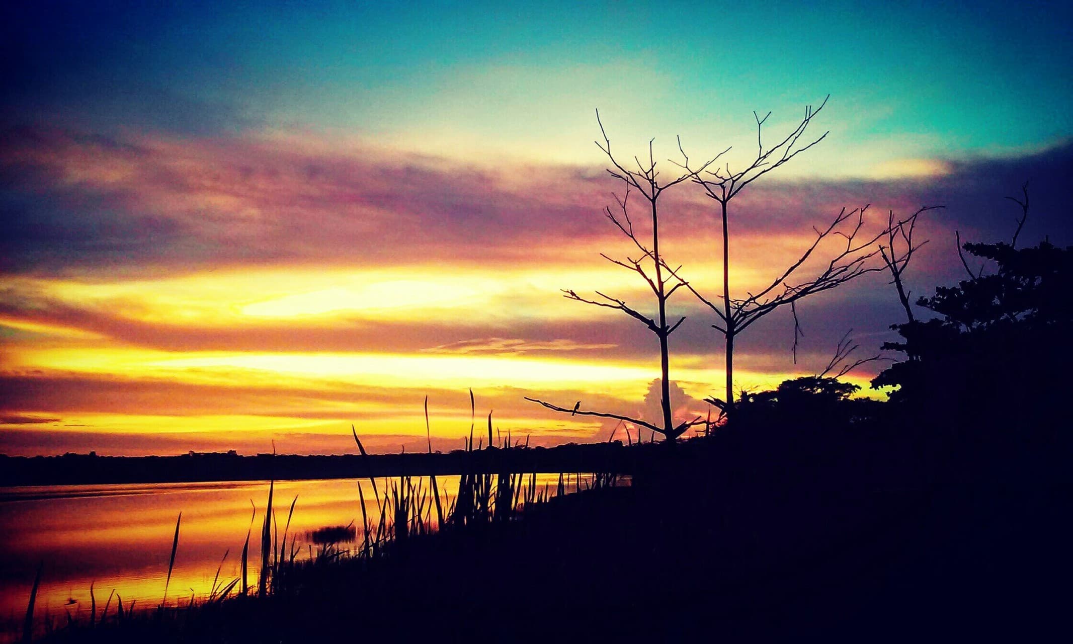 lagoo coba
