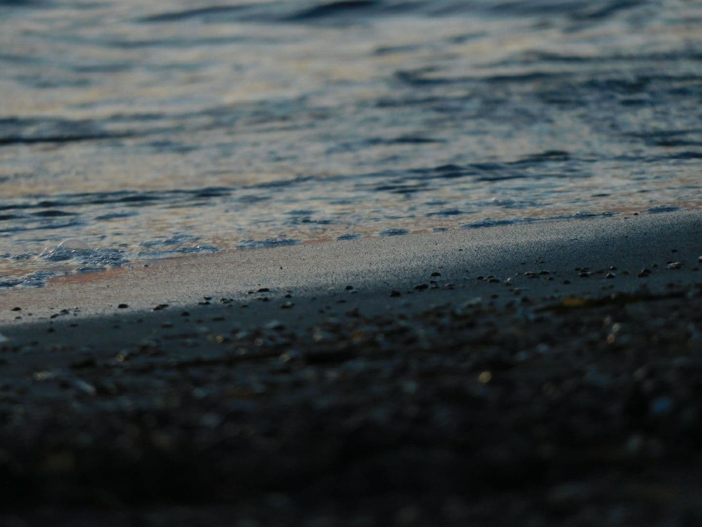Sea wave
