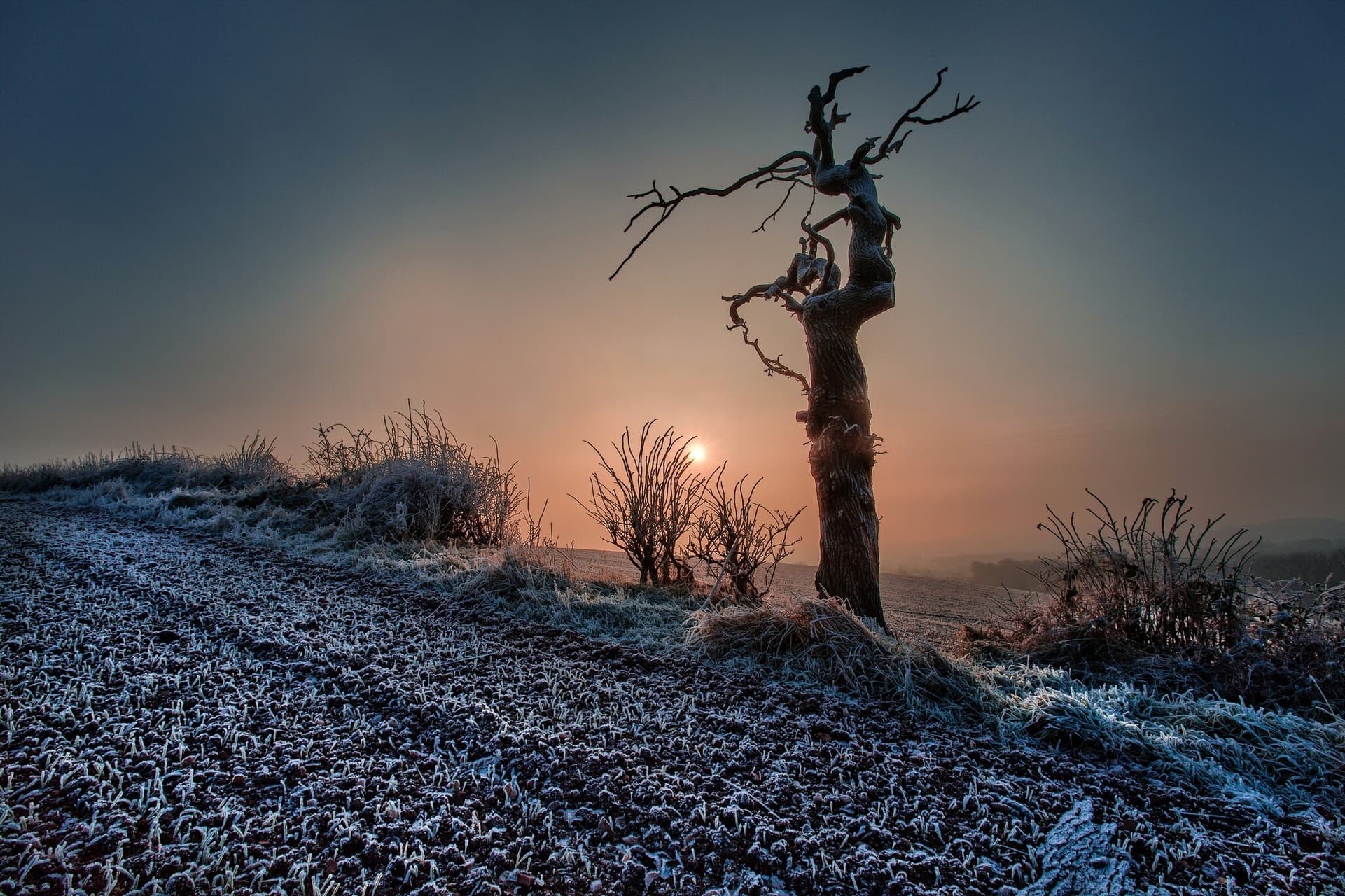 sun & winter