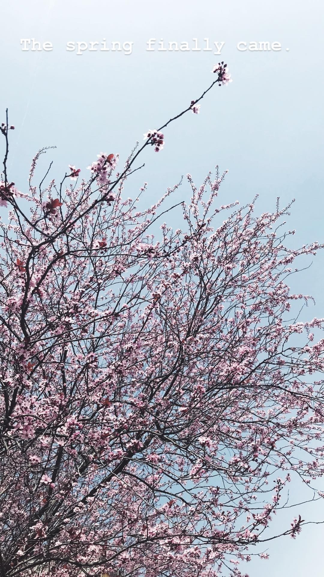 Spring