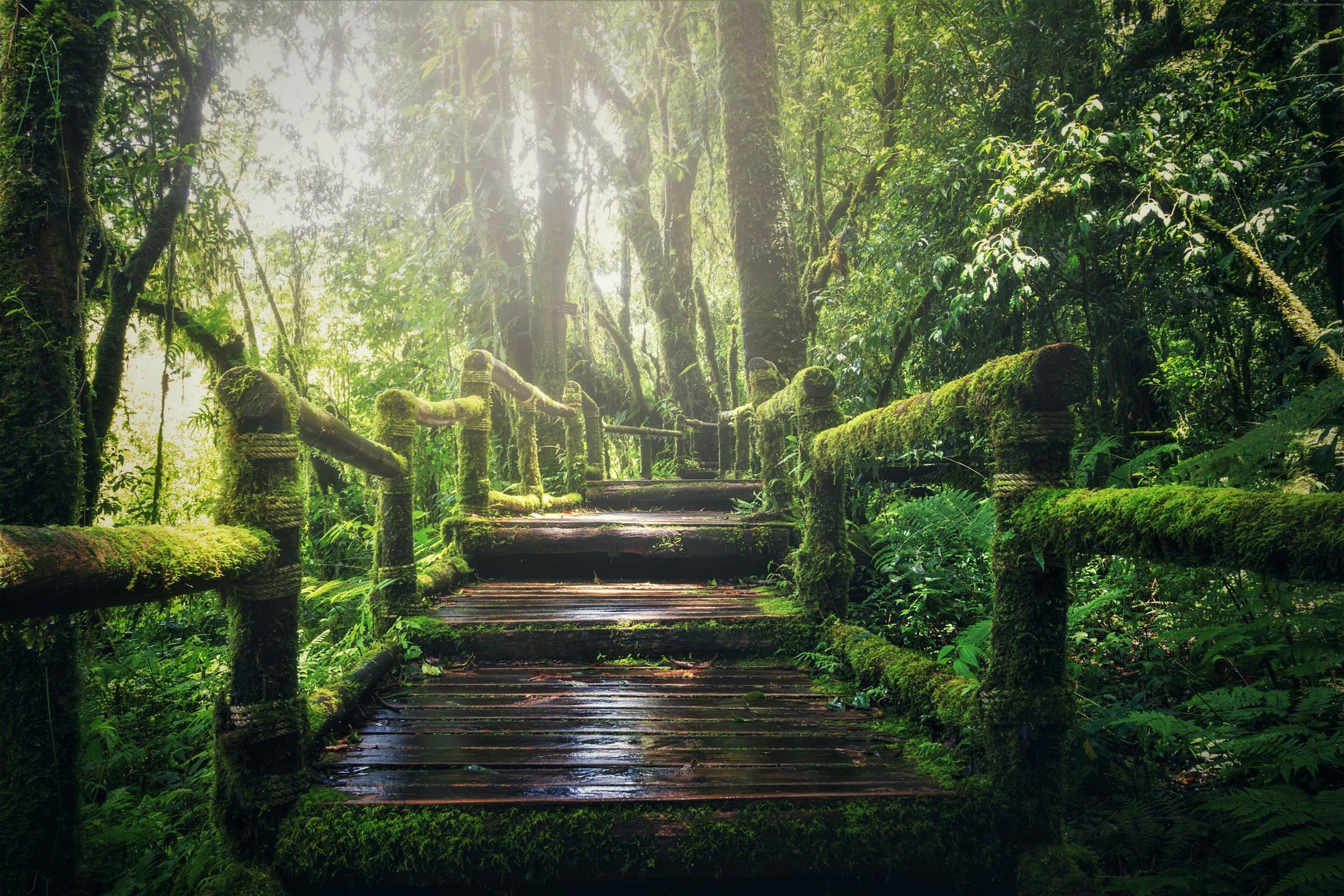 Nature