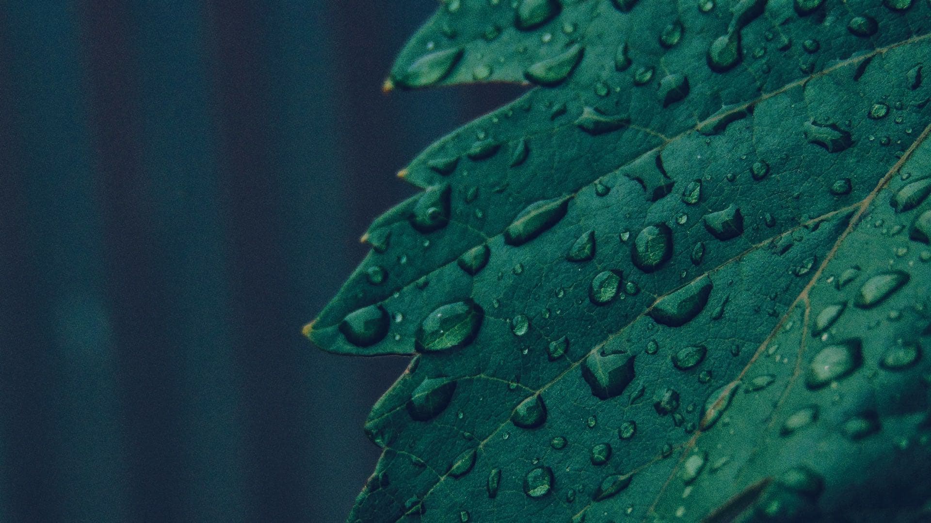 ☔️