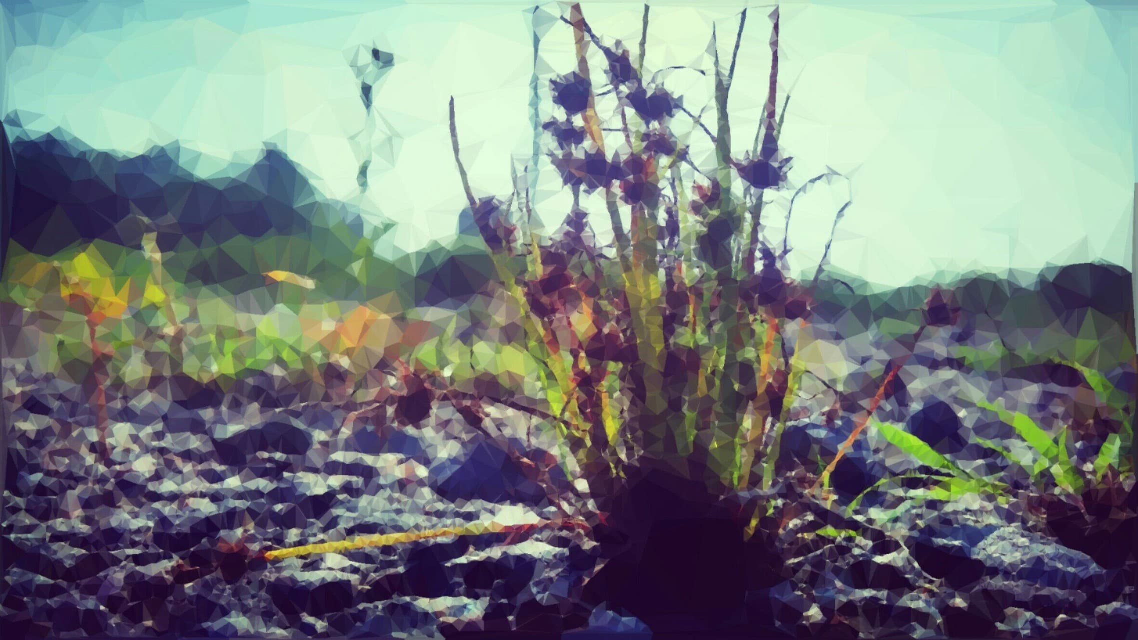 grass.
