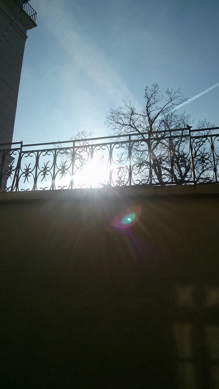 sunshine
