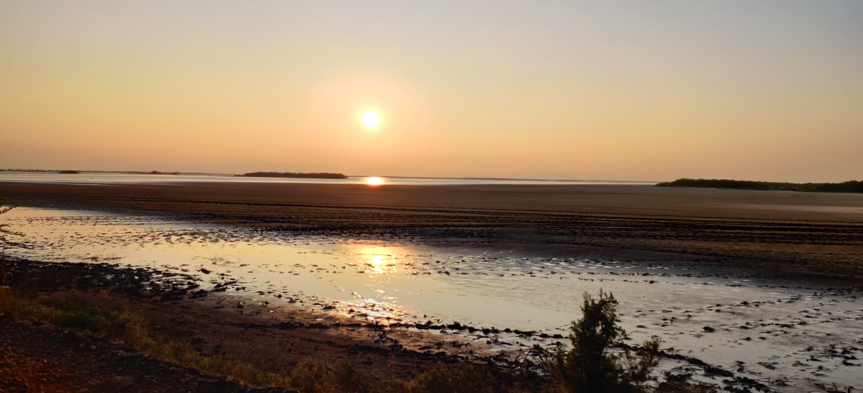 pulicat