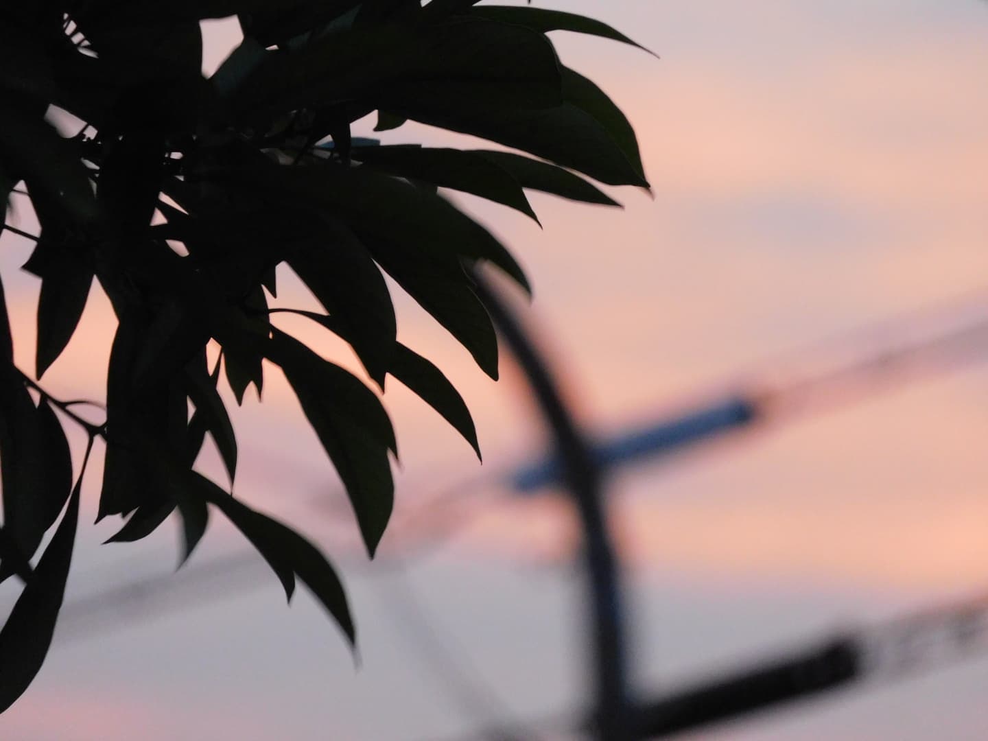 Evening Sky