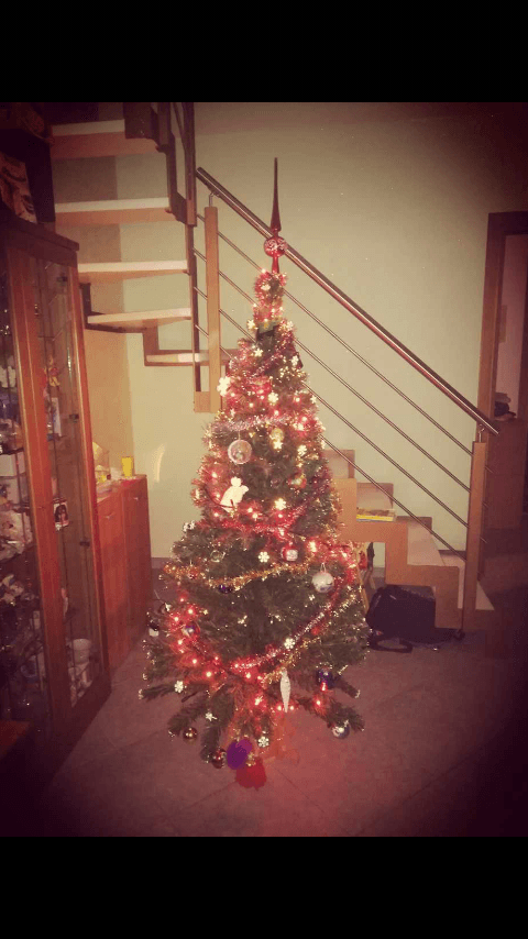 Merry Christmas 