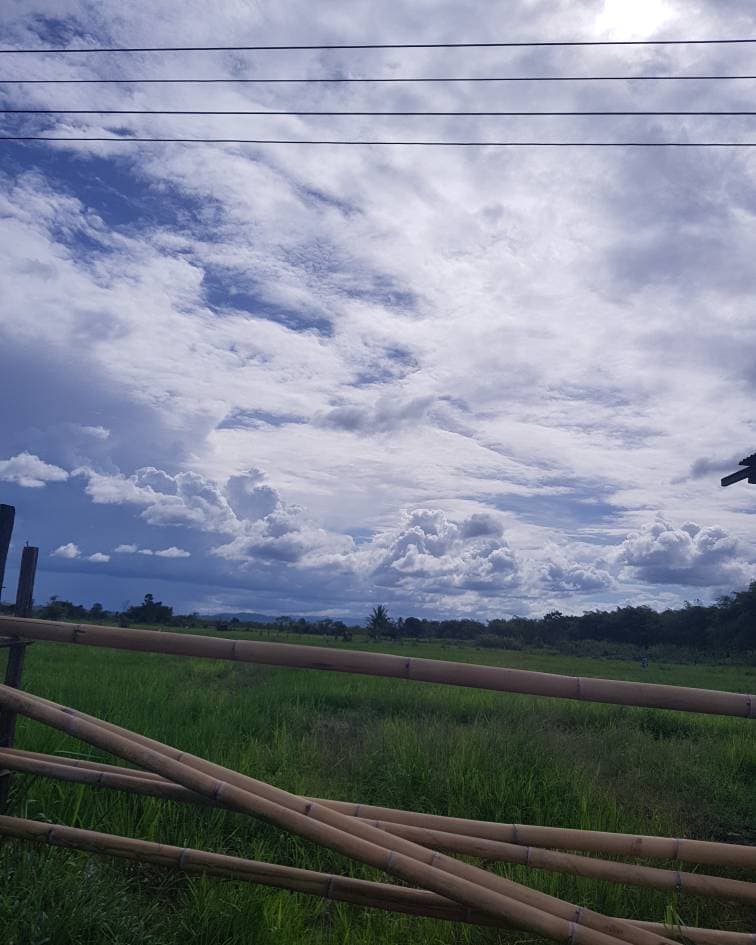 Countryside