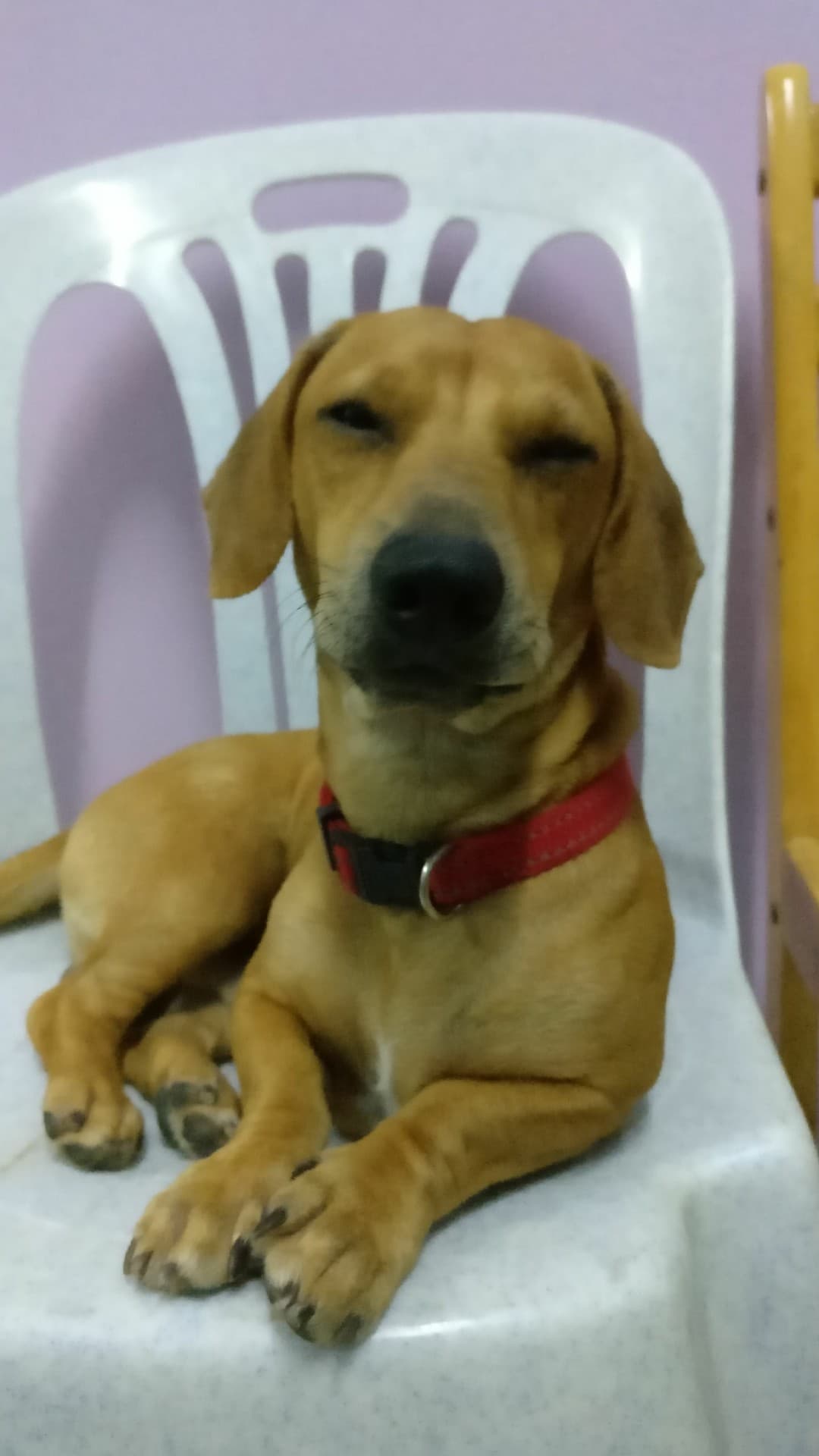 im the boss here.