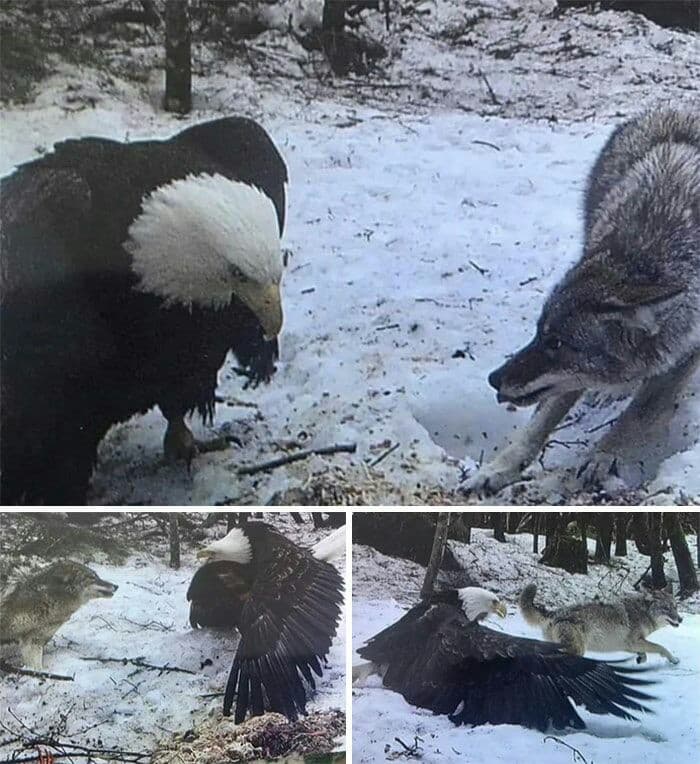 һѧяקʏ ċȏʟʟєċṭıȏṅś
