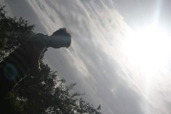 under the sun
