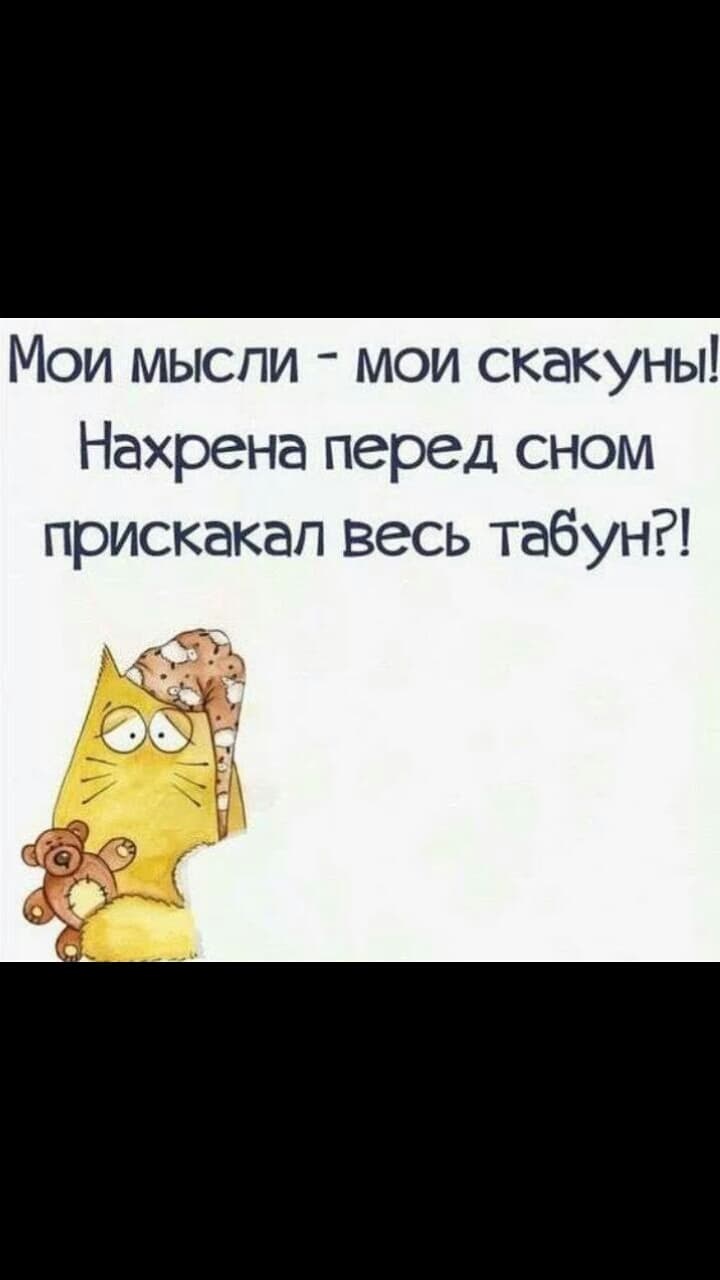привет мы ваши друзья