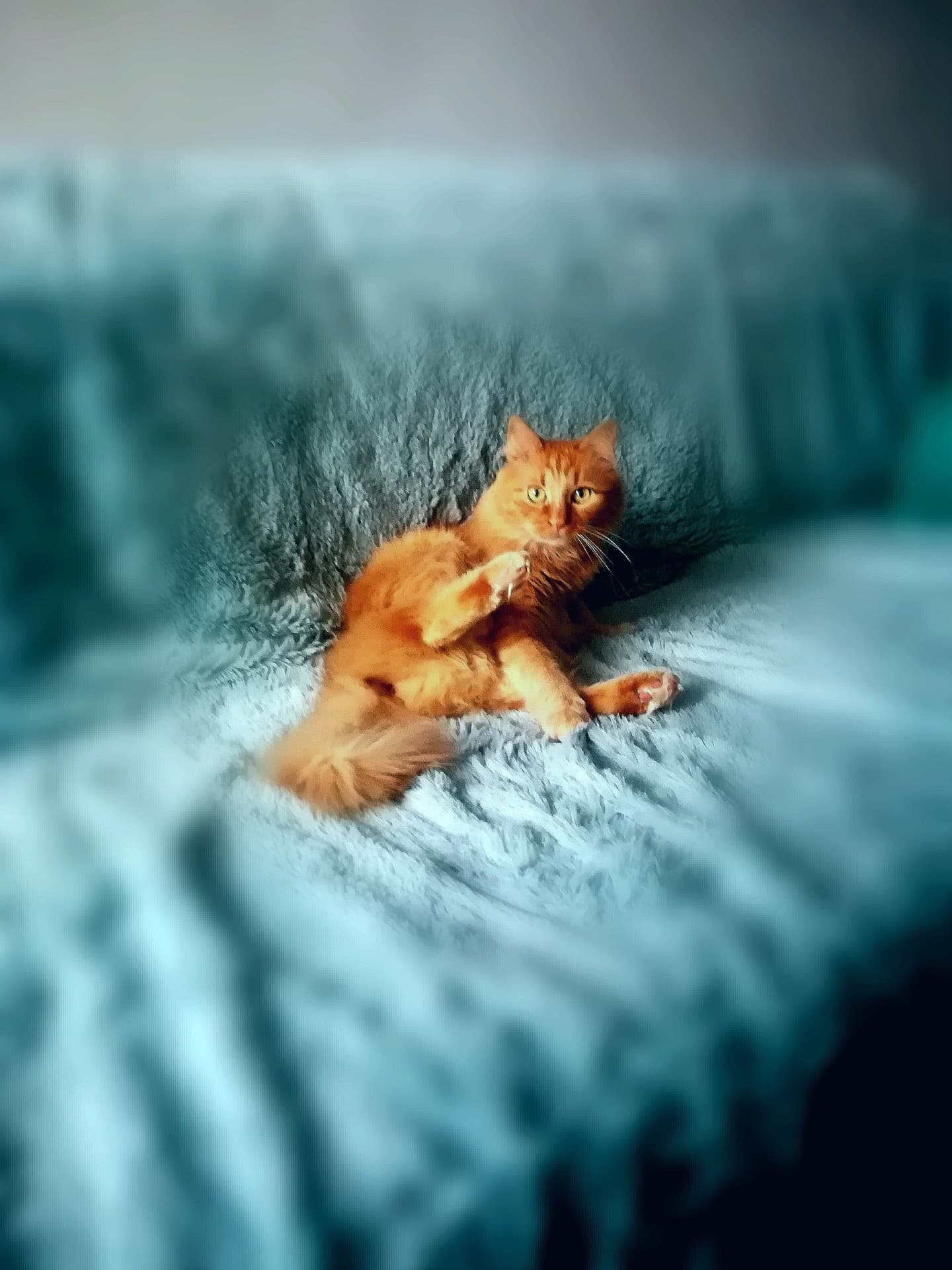 персик