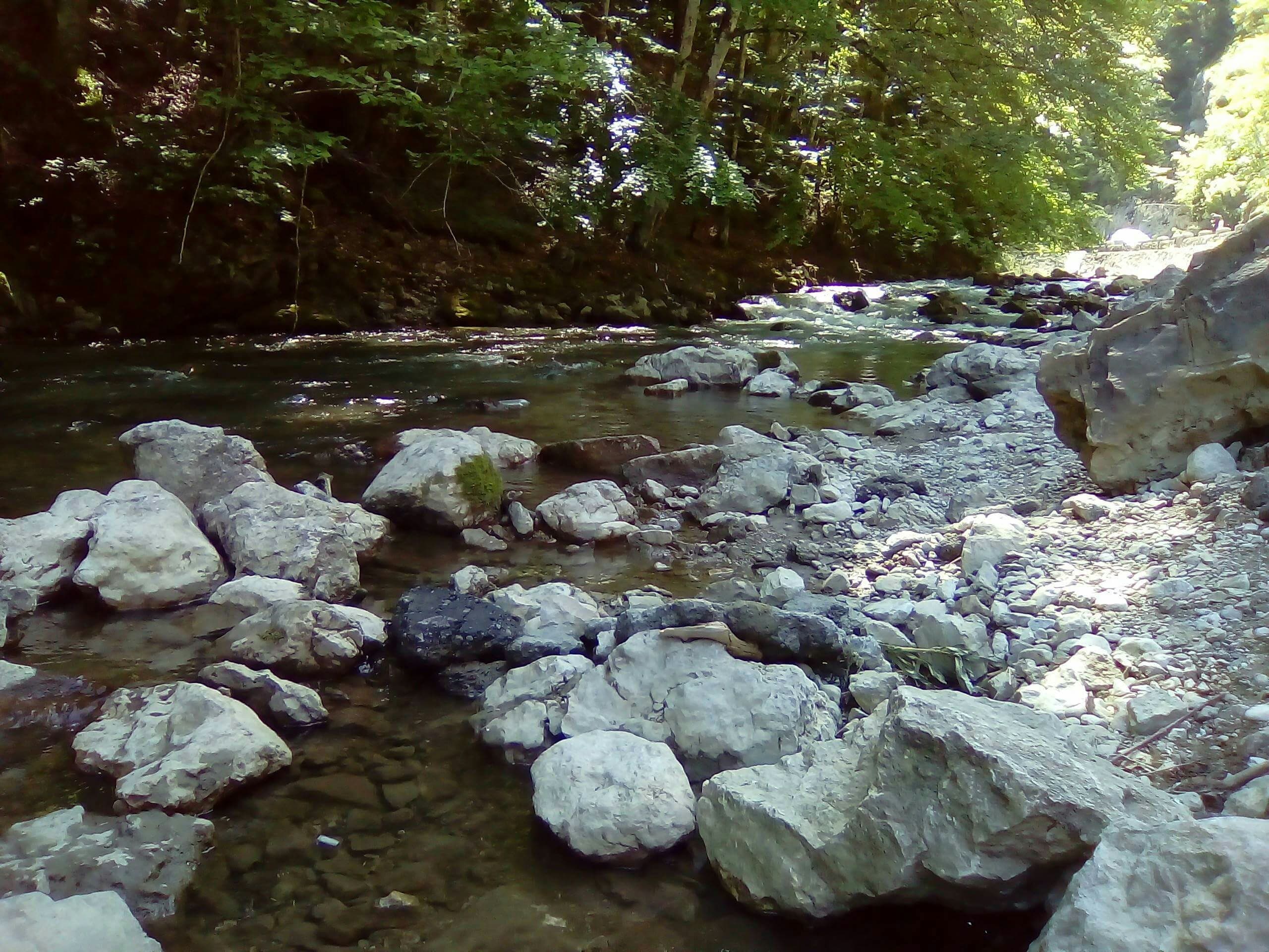 water