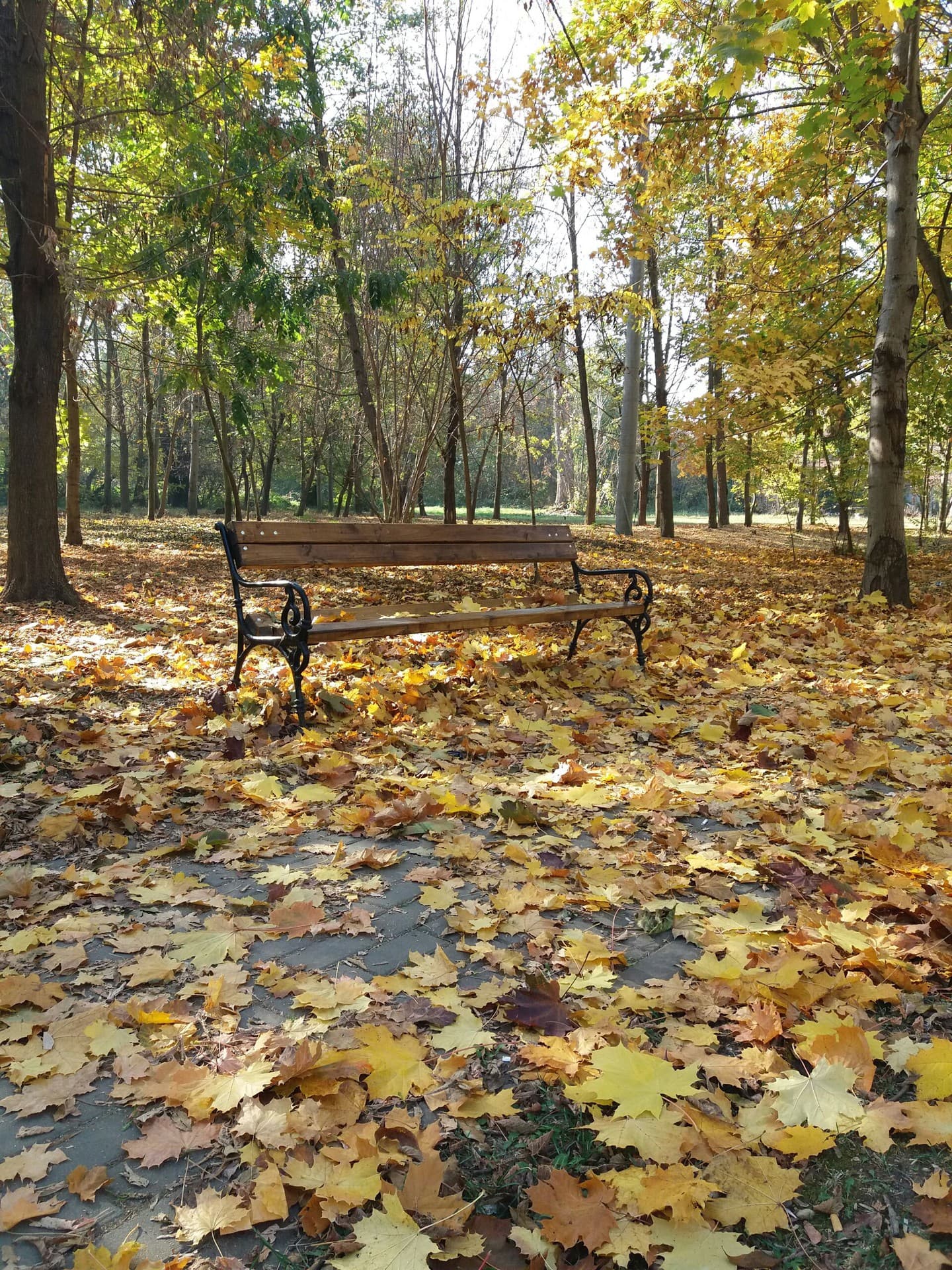 autumn
