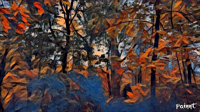 Trees On the Way Home