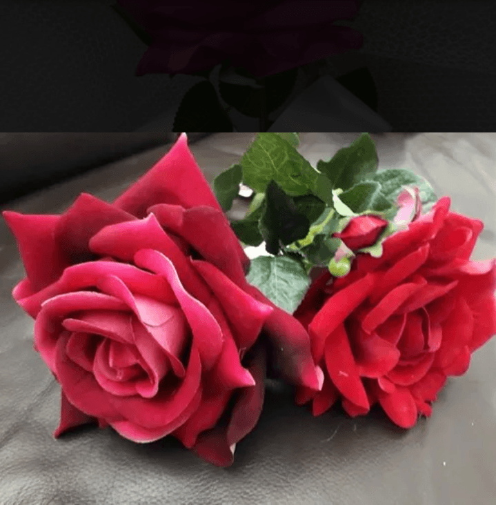Rosa