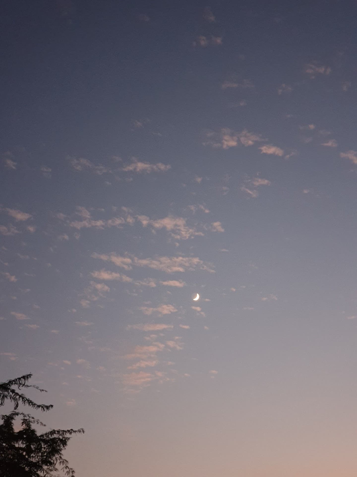 moon in the day