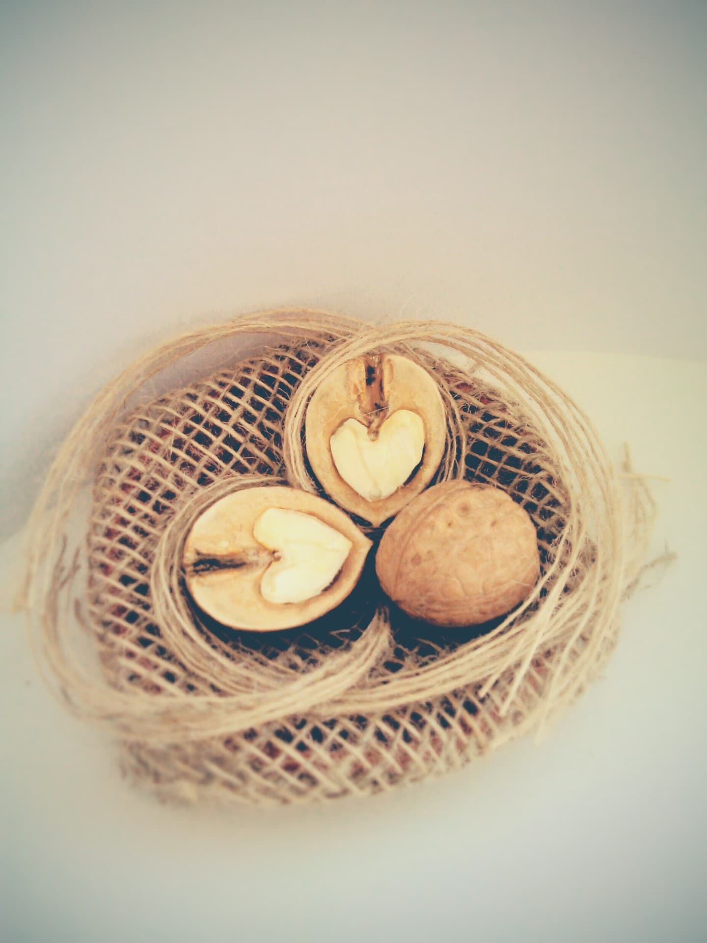 Walnut