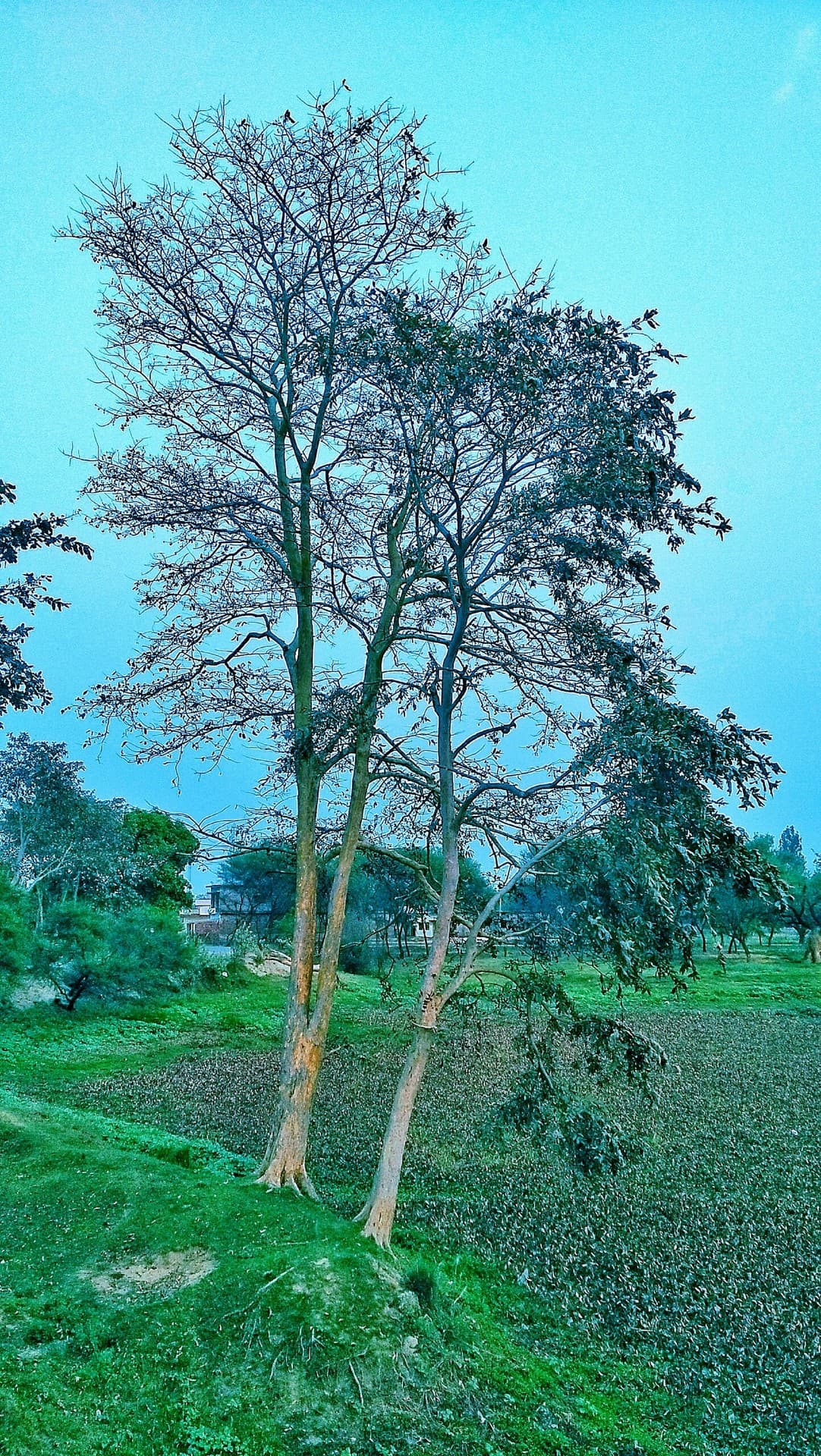 My capture and my edit...