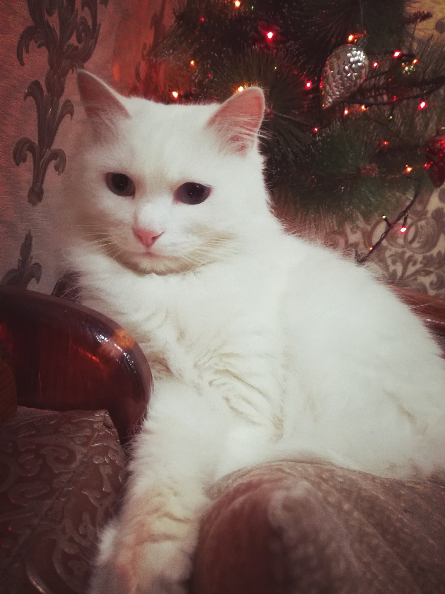 тстстстстстс