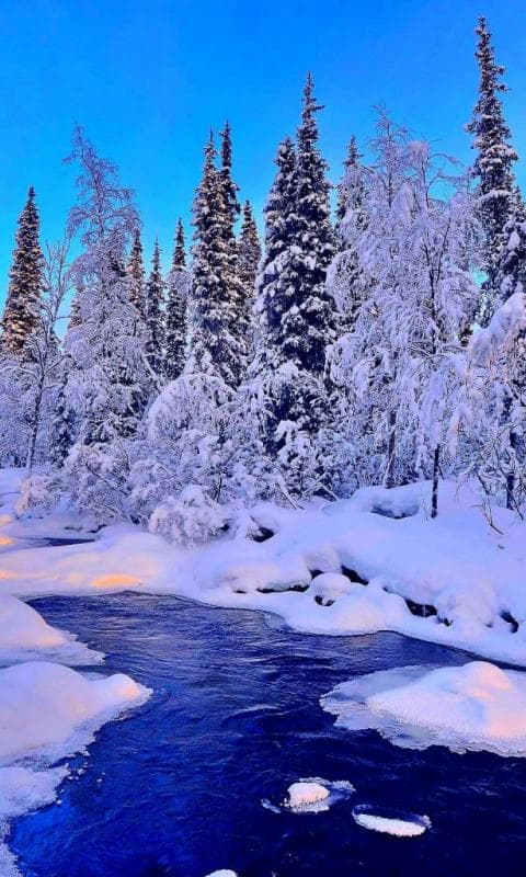 замёрзший водоём