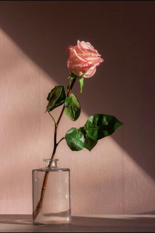 For you