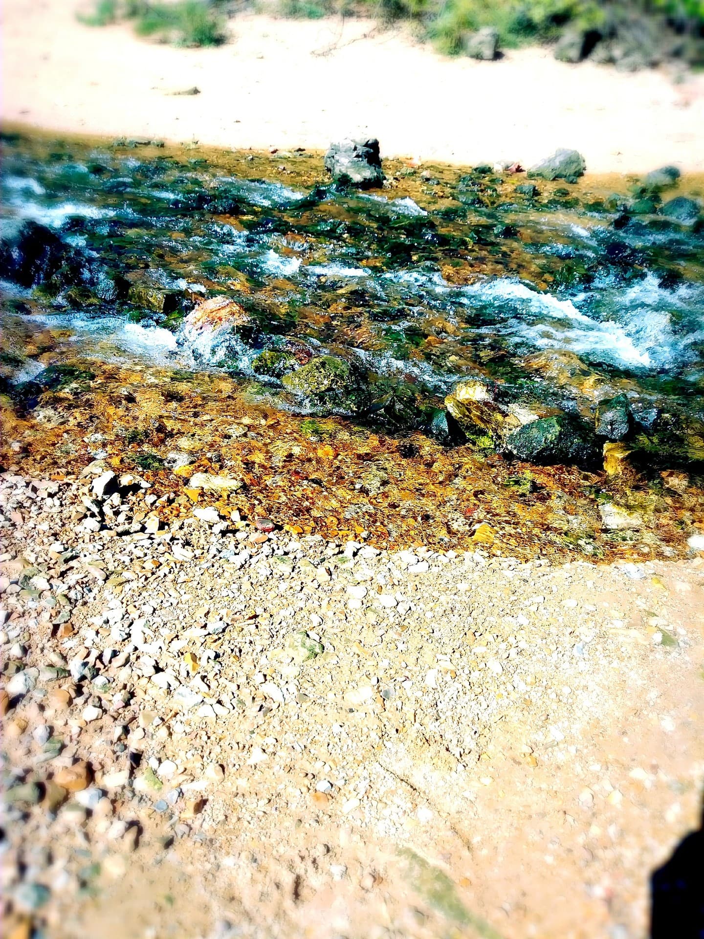 Maremac spring park