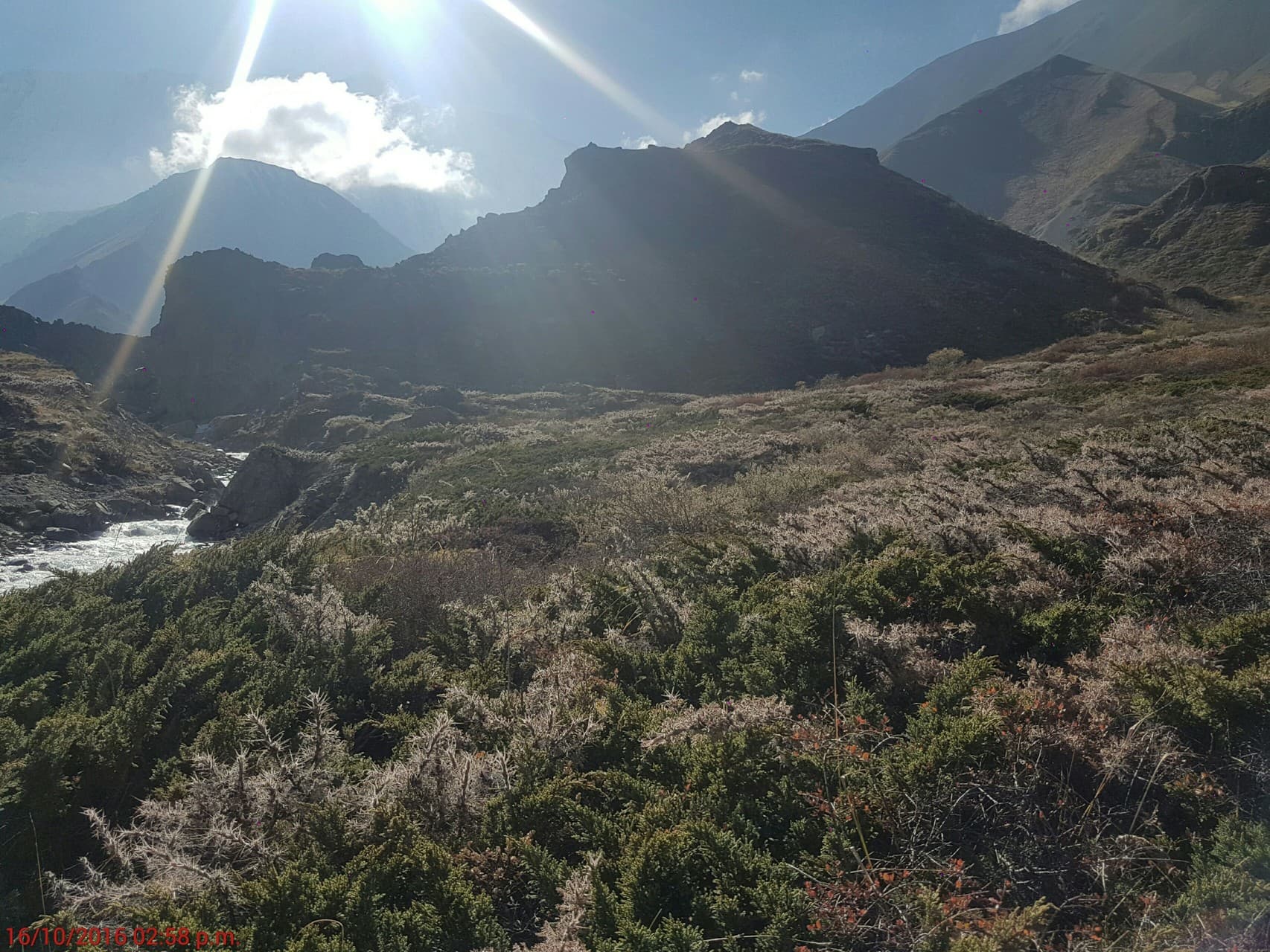 Nepal