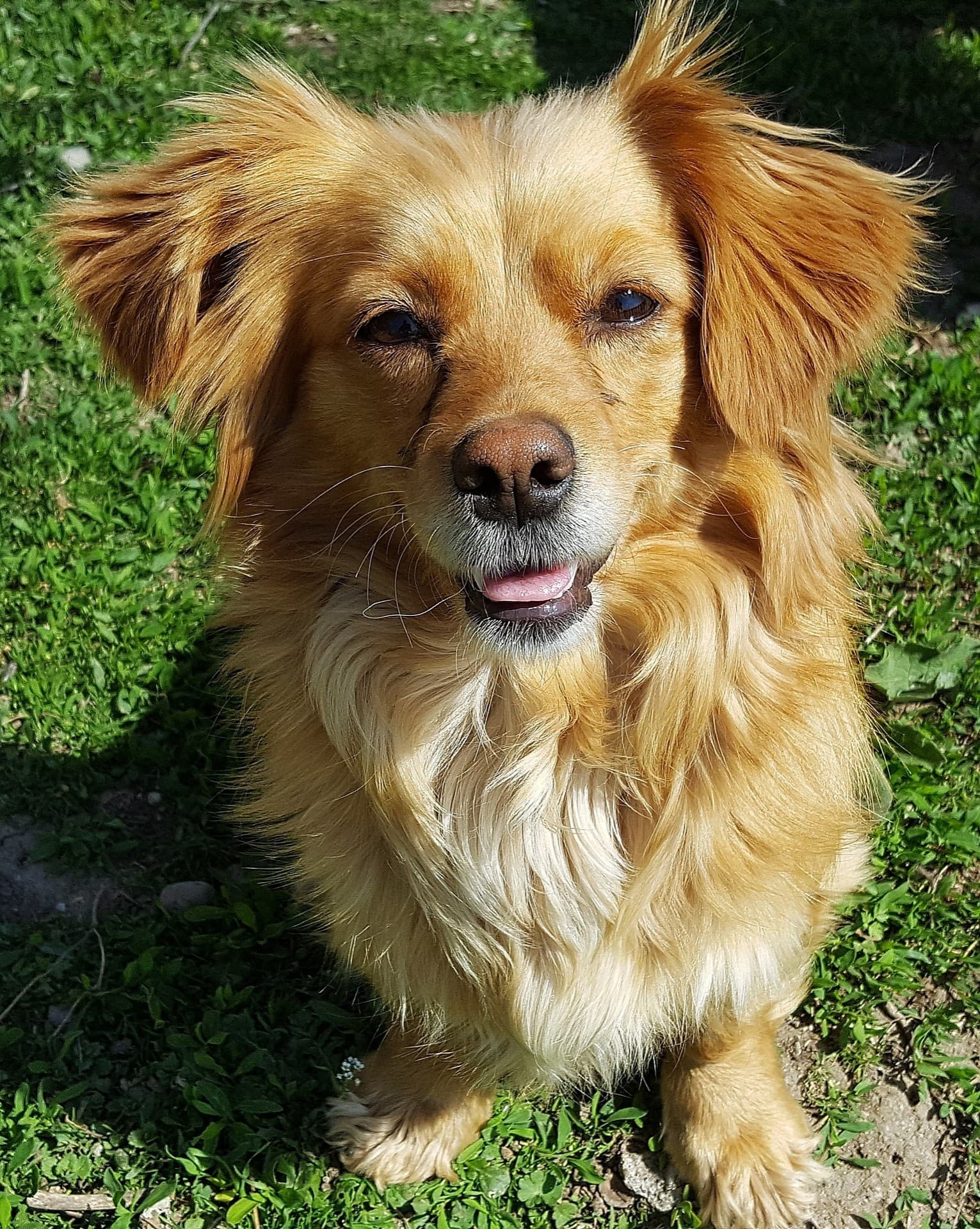 adorable one!