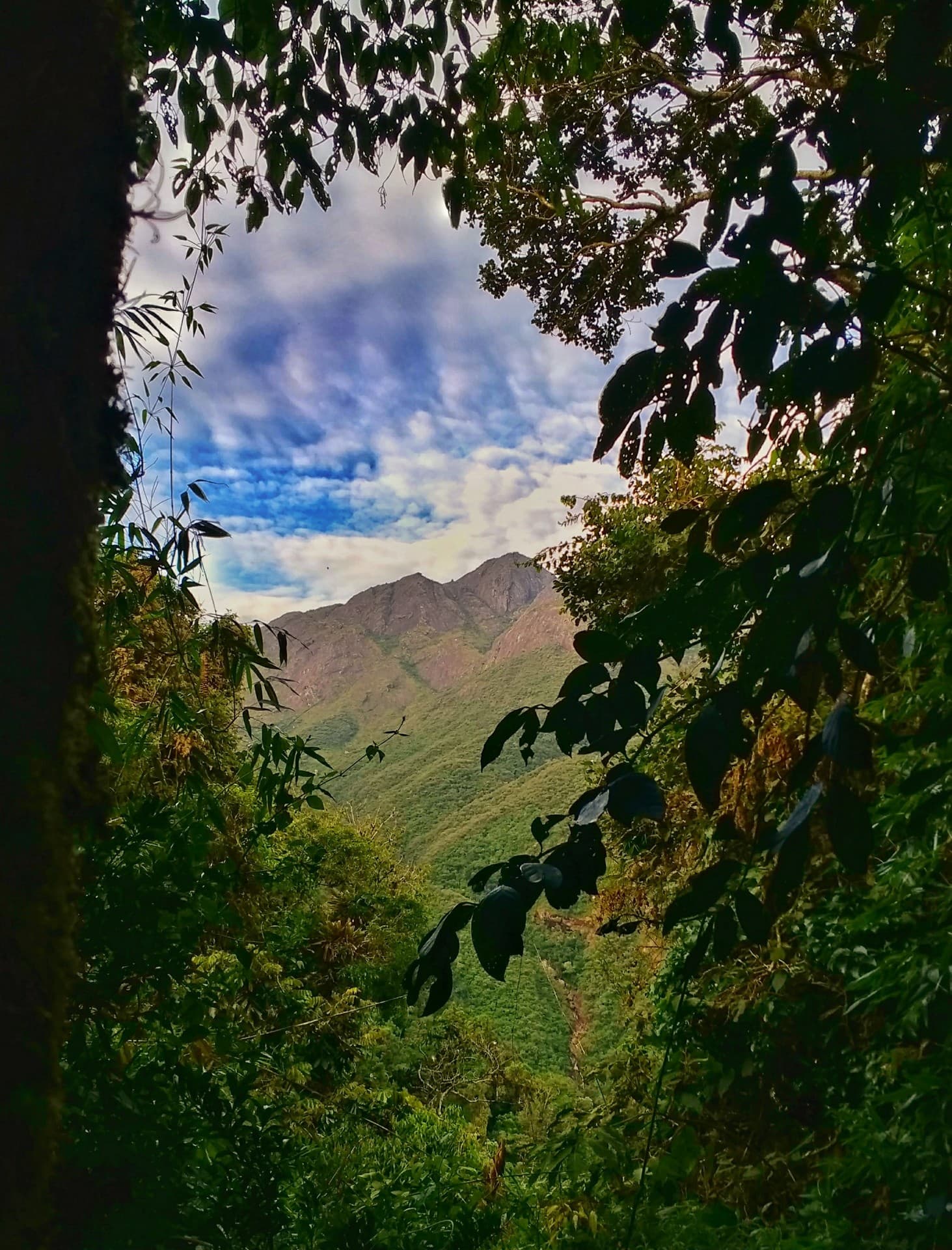 Pico dos Marins - MG - Brasil